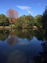 The Cooks River